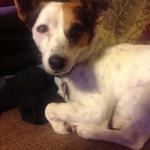 Meet your Posher, Dale